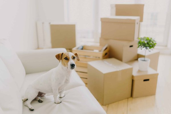 What Are the Best Fabrics for Office Wear to Stay Comfortable All Day?