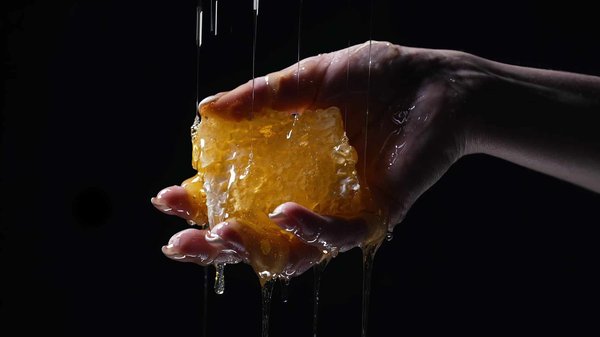 What Are the Best Pet-Friendly Indoor Exercises for Cold Weather Days?